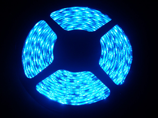 Blu DC12V / 24V 50 - 60 Hz epist flessibile condotto nastro luce 3 anni di garanzia